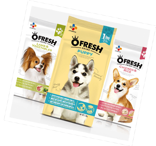 Ofresh puppy